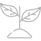 plant-grey