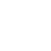Rayven-logo-white-transparent