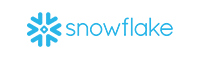 Snowflake-Filter