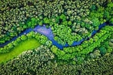 Forest-River-Green-300