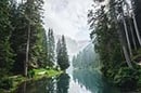 Forest-lake-165