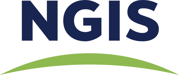 NGIS logo - digital twin integration with Rayven
