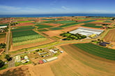 Farm Monitoring