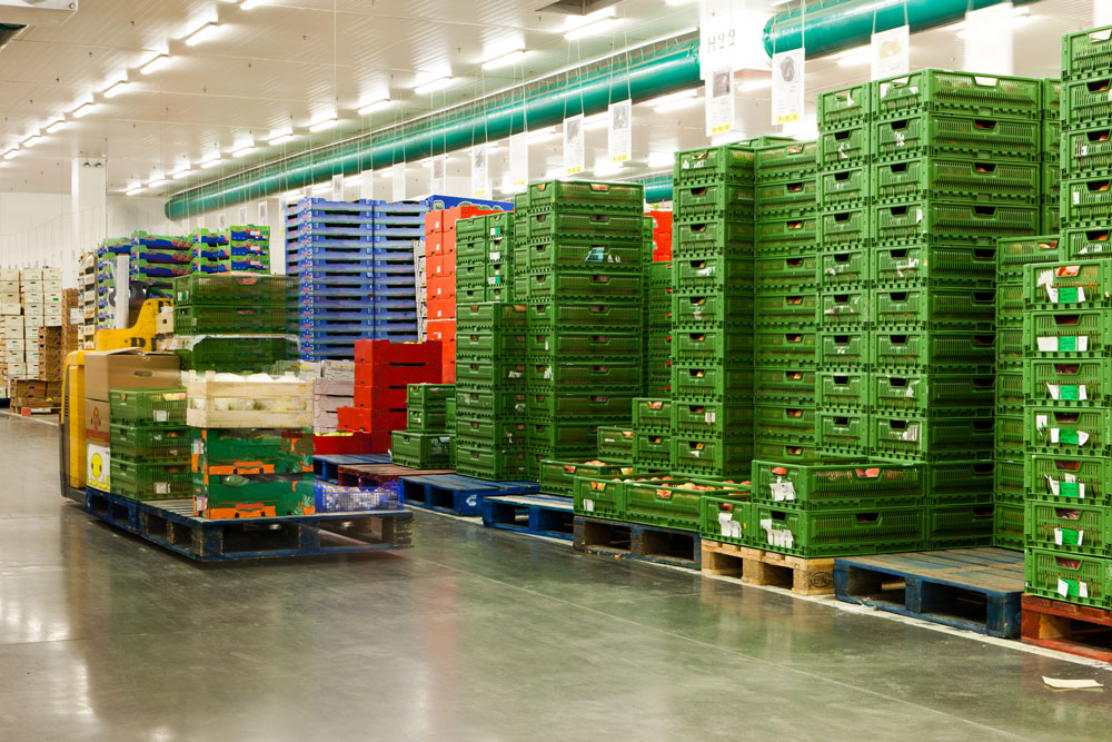 Cold Storage Monitoring, Compliance & Energy Efficiency