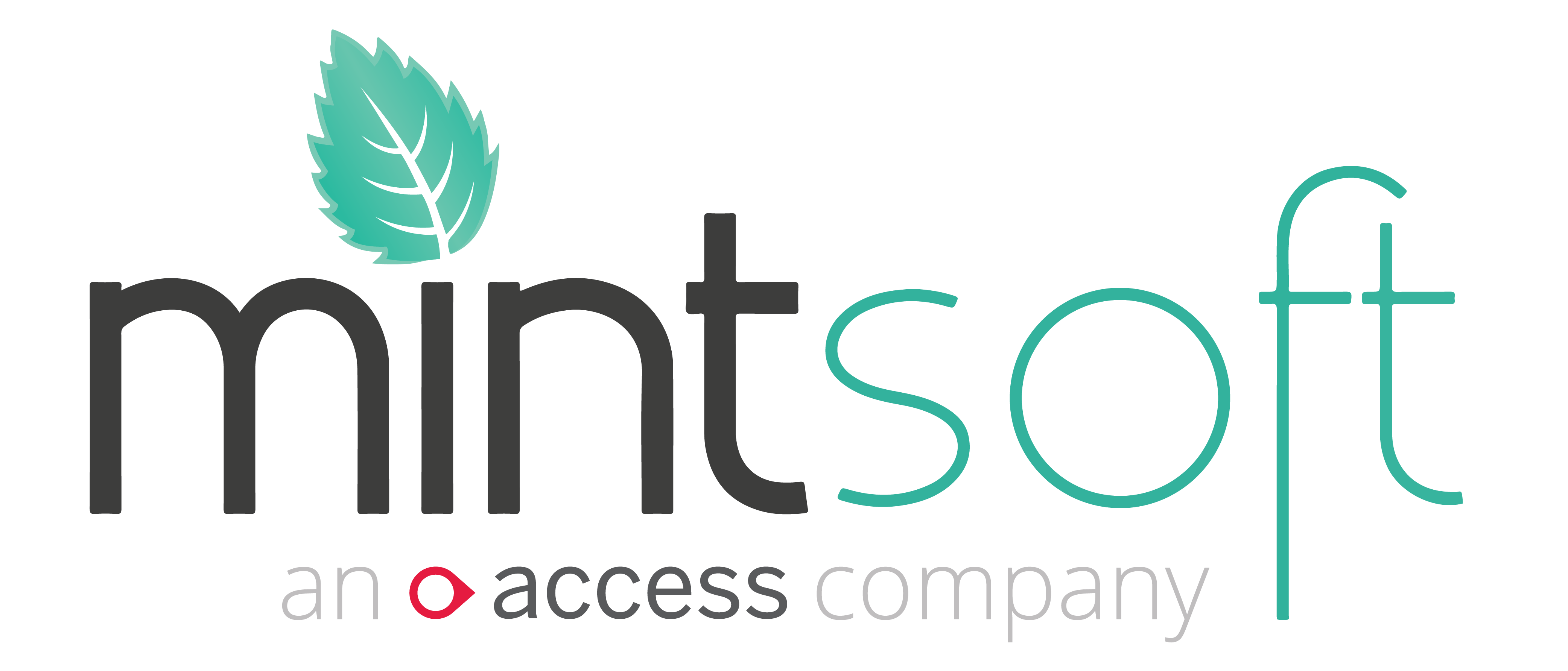 Mintsoft logo - WMS integration with Rayven